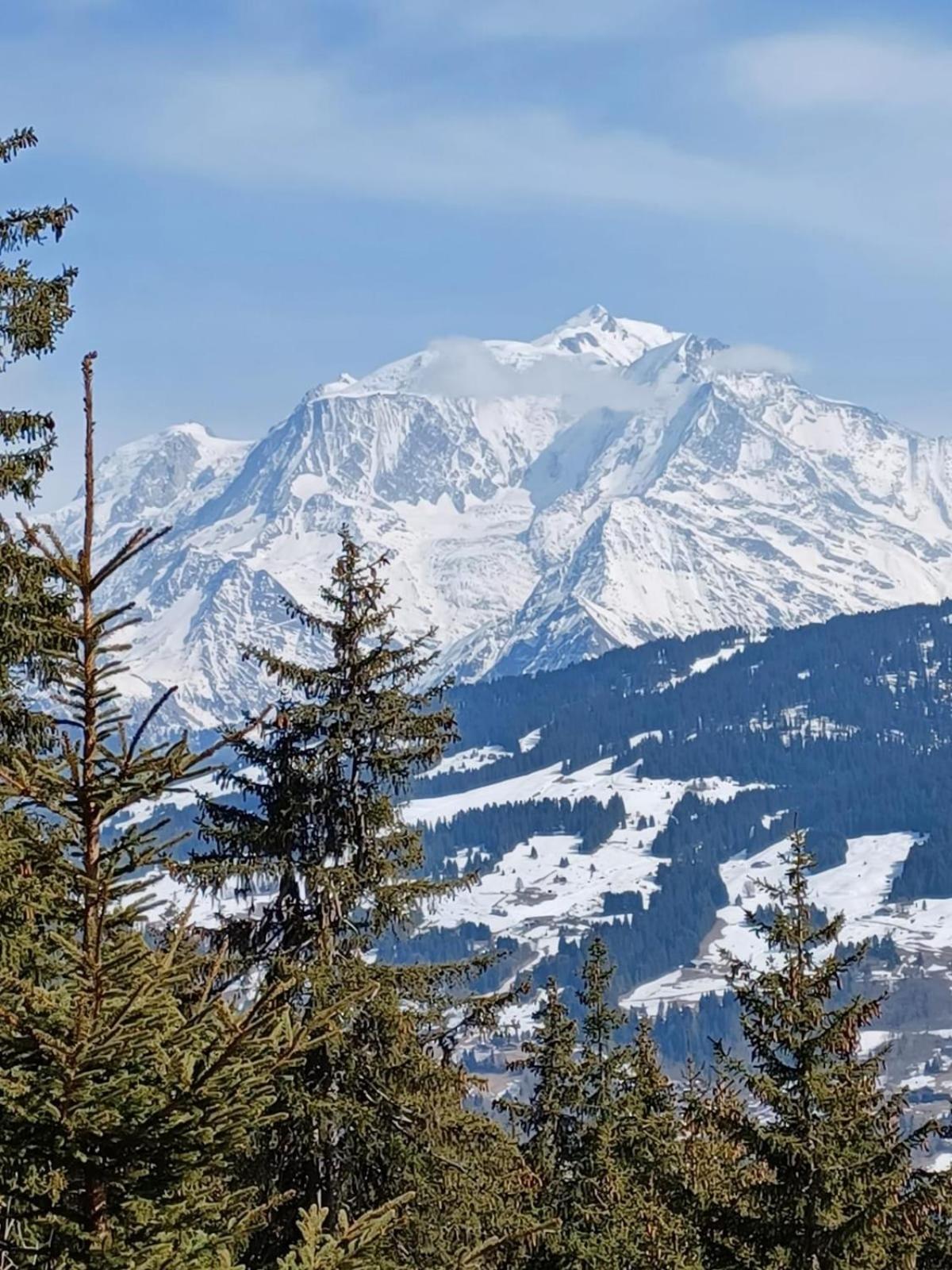 Appartement Tres Agreable Dans Belle Residence, Classe 3 Etoiles Par Le Comite Departementale Du Tourisme En Haute Garonne Bagnères-de-Luchon Exteriér fotografie